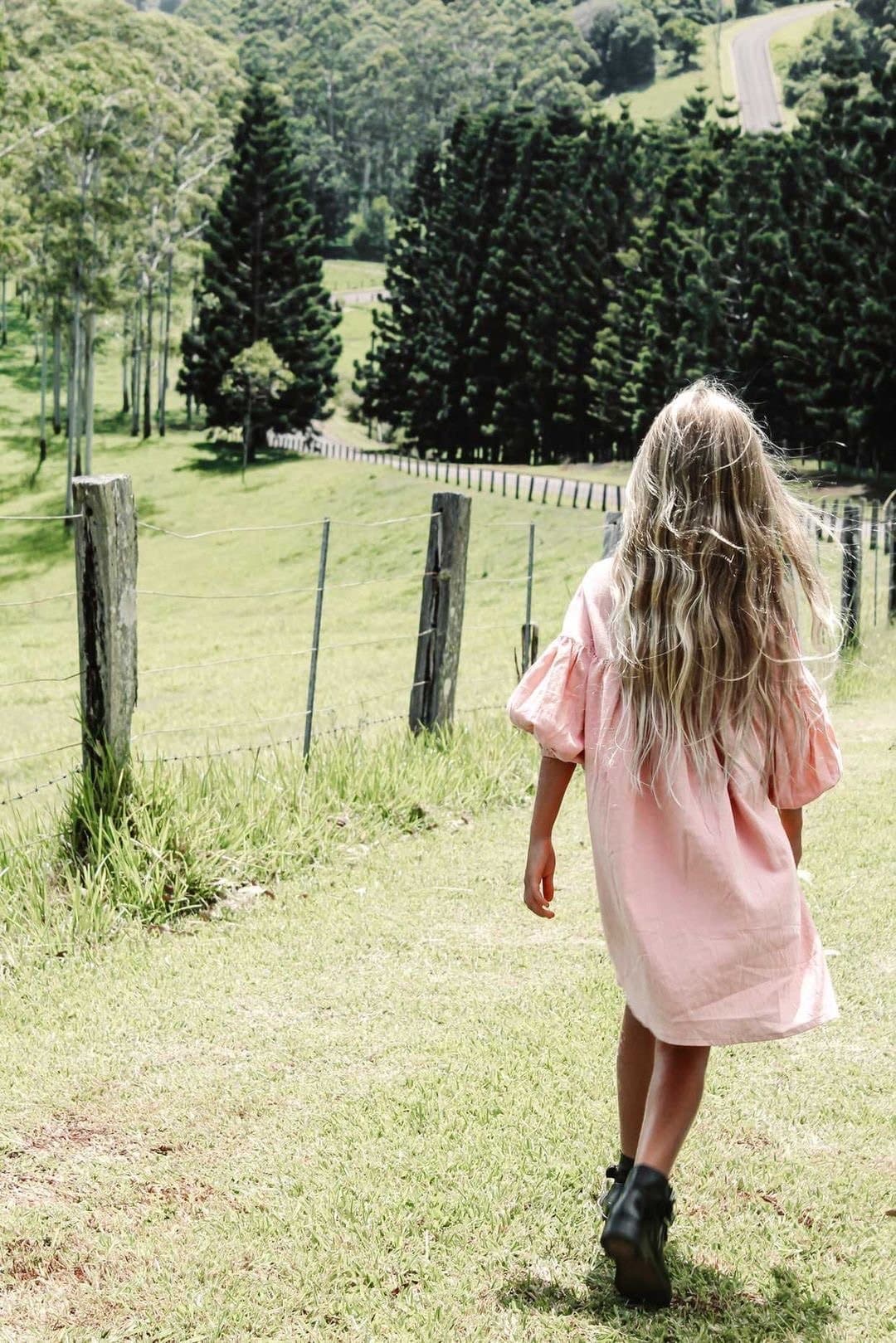 Willow dress | blush