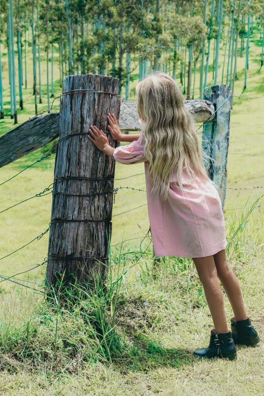 Willow dress | blush