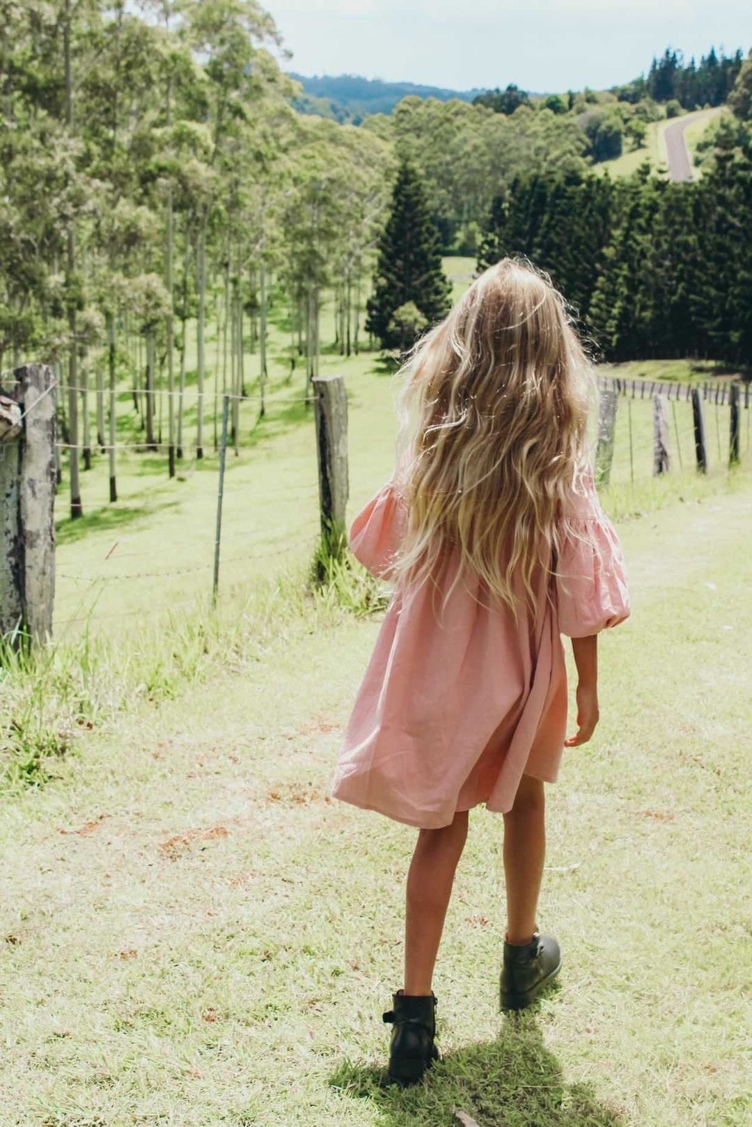 Willow dress | blush