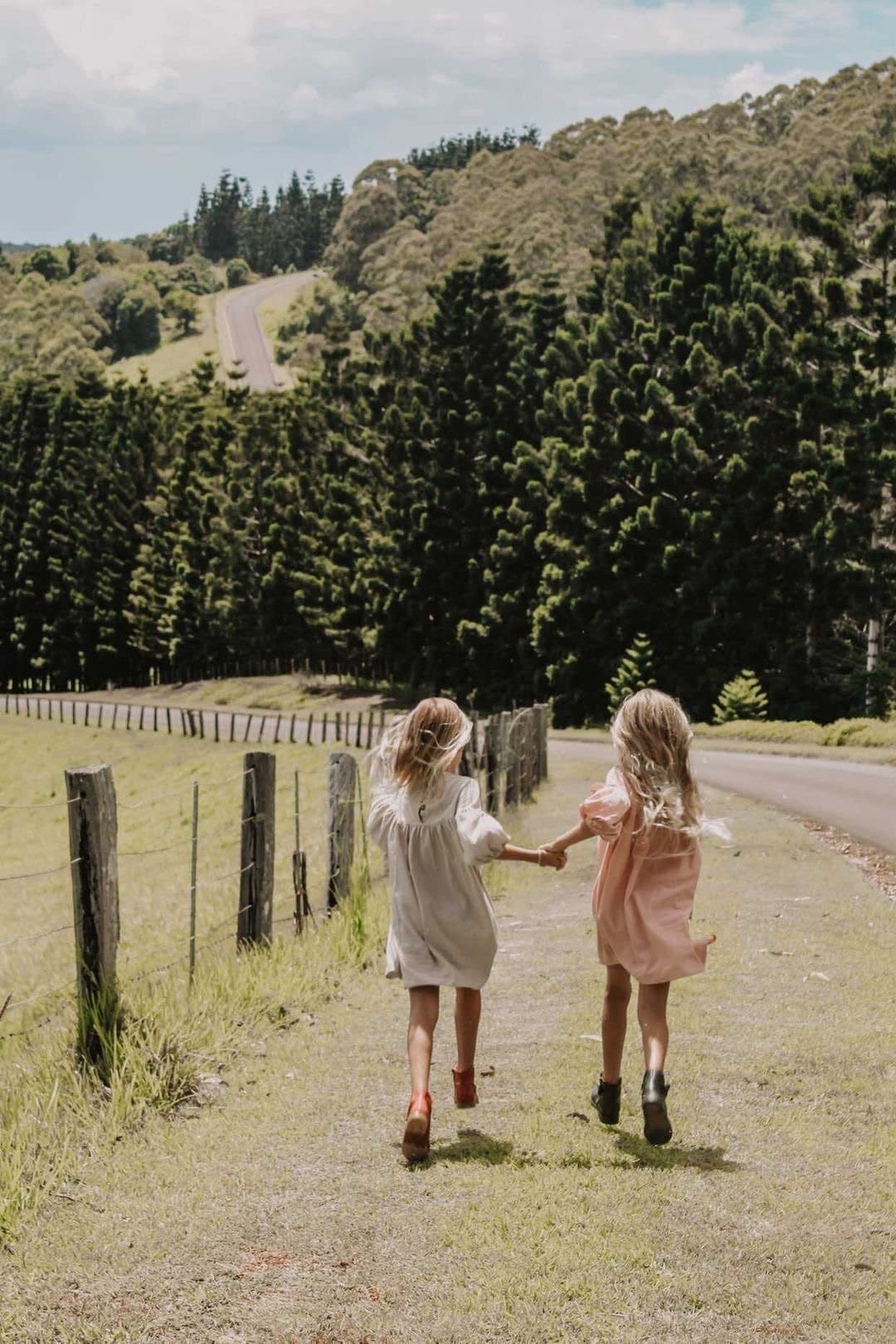 Willow dress | blush